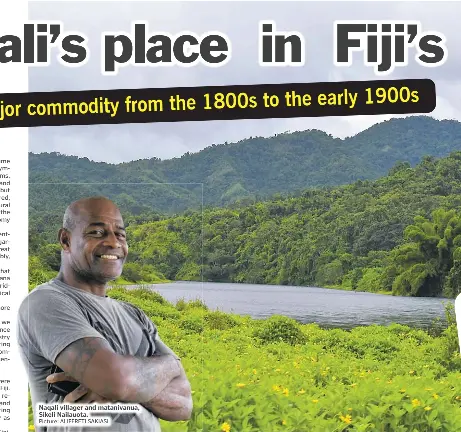 Naqali’s place in Fiji’s banana trade - PressReader