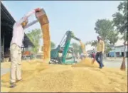  ?? ANI ?? Workers collect the dried paddy at a grain market in Patiala on Saturday.