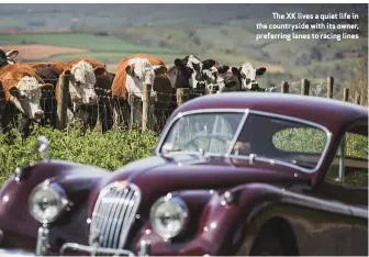  ??  ?? The XK lives a quiet life in the countrysid­e with its owner, preferring lanes to racing lines