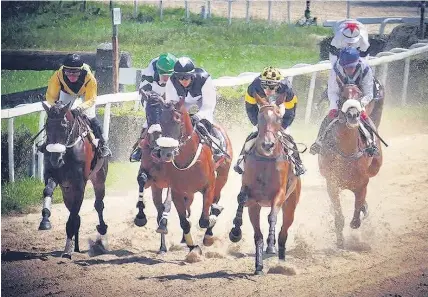  ??  ?? > Charly Pritchard in the middle in black and white colours on eventual winner Le Francesca