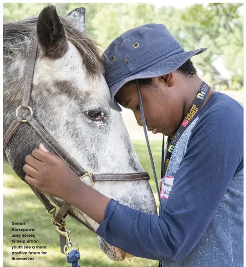  ??  ?? detroit horsepower uses horses to help urban youth see a more positive future for themselves.