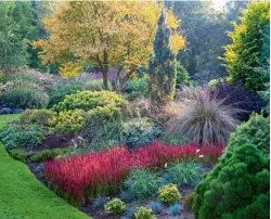  ??  ?? Colourful mixed planting in one of the borders at Foggy Bottom