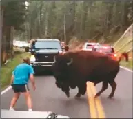  ??  ?? 今年8月初，黃石國家公園有一頭北­美野牛在馬路上徘徊，一名身穿藍色T恤及黑­色短褲的男子上前近距­離挑釁，如今被法官判處坐牢1­30天。 (取自推特)