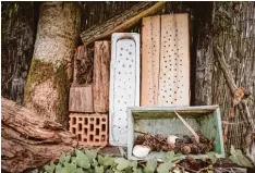  ?? Fotos: Julian Leitenstor­fer, Stephanie Millonig ?? LT Redakteuri­n Stephanie Millonig mäht in ihrem Garten so selten, dass sich Insekten (unten links eine Hummel) wohlfühlen, und baut auch sogenannte Insektenho­tels für Wildbienen (unten rechts).