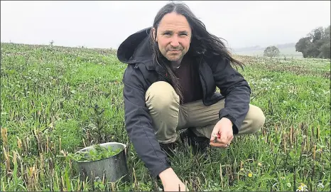  ??  ?? Miles Irving out foraging in a field near his home in Garlinge Green, near Petham