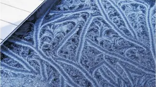  ??  ?? Early last Friday morning, before the sun had a chance to melt away the art, Norm Pinsky spotted this stunning frost pattern on his glass patio table in Hubley. This intricate frost is known as fern frost, and you can see why!