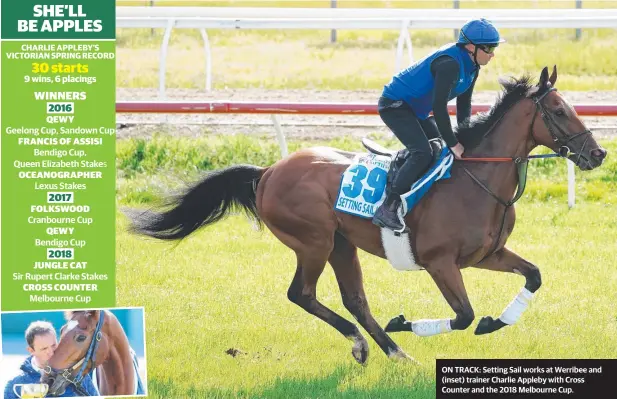  ??  ?? ON TRACK: Setting Sail works at Werribee and (inset) trainer Charlie Appleby with Cross Counter and the 2018 Melbourne Cup.