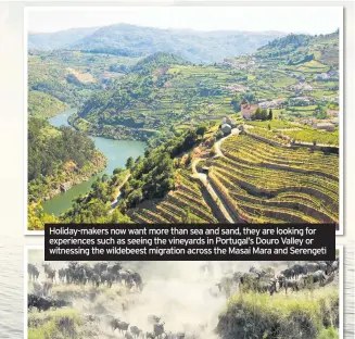  ??  ?? Holiday-makers now want more than sea and sand, they are looking for experience­s such as seeing the vineyards in Portugal’s Douro Valley or witnessing the wildebeest migration across the Masai Mara and Serengeti