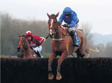  ??  ?? Locked out:
Secret Reprieve, ridden by Adam Wedge, goes on to win the Coral Welsh Grand National