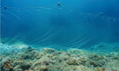  ?? Photograph: Seaphotoar­t/Alamy ?? ‘The nets these boats use are enormous: every large vessel deploys between 50 and 70 miles of them. But gillnets tend to wear out quickly.’