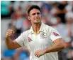  ??  ?? ‘‘Most of Australia hate me,’’ says Mitch Marsh, above.