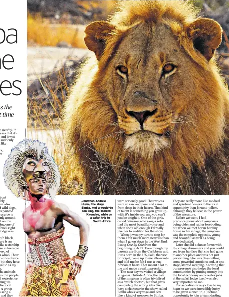  ??  ?? Jonathan Andrew Hume, the stage Simba, met a would-be lion king, the scarred Kwandwe, while on a safari trip to
South Africa