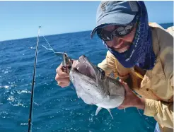  ??  ?? Although abundant and easy to catch, barracuda are a high risk for ciguatera.