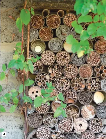  ??  ?? 4 4. Le long de la petite dépendance se trouve un hôtel à insectes constitué d’une série de boîtes de conserve remplies de branchages, de paille.