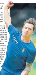  ??  ?? Dale Steyn.