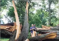  ?? Matthew Brown / Hearst Connecticu­t Media ?? Tyler Maloney holds his one-year-old son Bear while near a large tree that fell in Tropical Storm Isaias in front of his home in Stamford on Aug. 8, 2020.