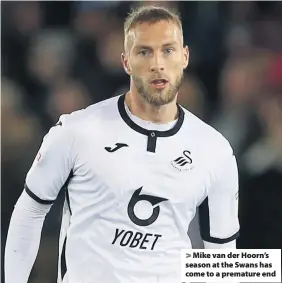  ??  ?? > Mike van der Hoorn’s season at the Swans has come to a premature end