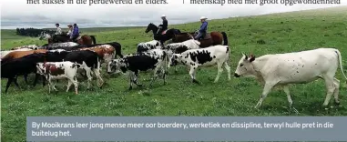  ??  ?? By Mooikrans leer jong mense meer oor boerdery, werketiek en dissipline, terwyl hulle pret in die buitelug het.