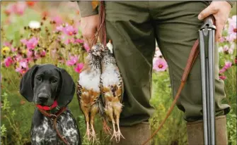  ??  ?? Prenons garde à conserver la liberté et la poésie de chasser pour le « simple » plaisir…