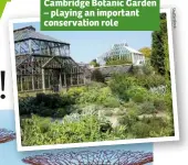  ?? Sh u    er st oc k ?? Cambridge Botanic Garden – playing an important conservati­on role