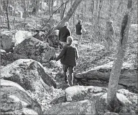  ?? STEVE FAGIN/SPECIAL TO THE DAY ?? Abundant rocks cover the forest floor.