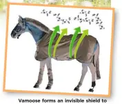  ??  ?? Vamoose forms an invisible shield to help protect your horse from flies