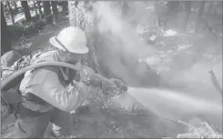  ?? USFS/TNS ?? A U.S. Forest Service engine crewmember sprays down flames on the northwest flank of the August Complex, above Ruth Valley on Sept. 22.