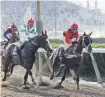  ?? GENTILEZA ?? Sólo potrillos animarán mañana la antesala del St Leger|