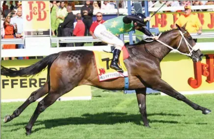  ??  ?? HILL FIFTY FOUR, second in the Cape’s premier race last year, makes no mistakes in the R2.5-million J&B Met at Kenilworth on Saturday and beats Yorker by 1.75 lengths.