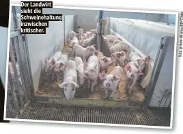  ?? ?? Der Landwirt sieht die Schweineha­ltung inzwischen kritischer.