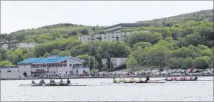  ?? JUANITA MERCER/THE TELEGRAM ?? Three crews move off the start line during a senior female heat at the Discovery Day Regatta at Quidi Vidi Lake on Sunday. From left are USW, Triple E Painters and Travel Unlimited, the eventual winners of the race. There were 131 crews entered in the...