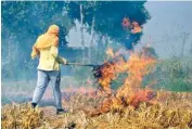  ??  ?? the next crop A farmer burns stubbles at his paddy field on outskirts of Amritsar on Friday. Despite a ban on stubble burning, Punjab and Haryana farmers are still burning paddy stubble before they grow