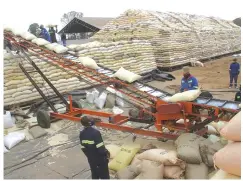  ?? ?? The current maize stocks exceed demand, and consumers are assured of availabili­ty of their favourite maize meal brands from their nearest retail shops