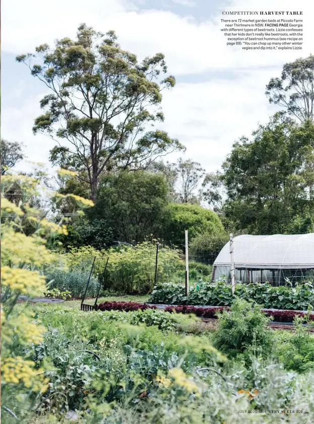  ??  ?? There are 72 market garden beds at Piccolo Farm near Thirlmere in NSW. FACING PAGE Georgia with different types of beetroots. Lizzie confesses that her kids don’t really like beetroots, with the exception of beetroot hummus (see recipe on page 89). “You can chop up many other winter vegies and dip into it,” explains Lizzie.