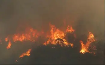  ?? ?? ► En esta temporada se han producido 721 incendios con afectación de 6.443 hectáreas.