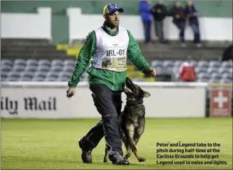  ??  ?? Peter and Legend take to the pitch during half-time at the Carlisle Grounds to help get Legend used to noise and lights.