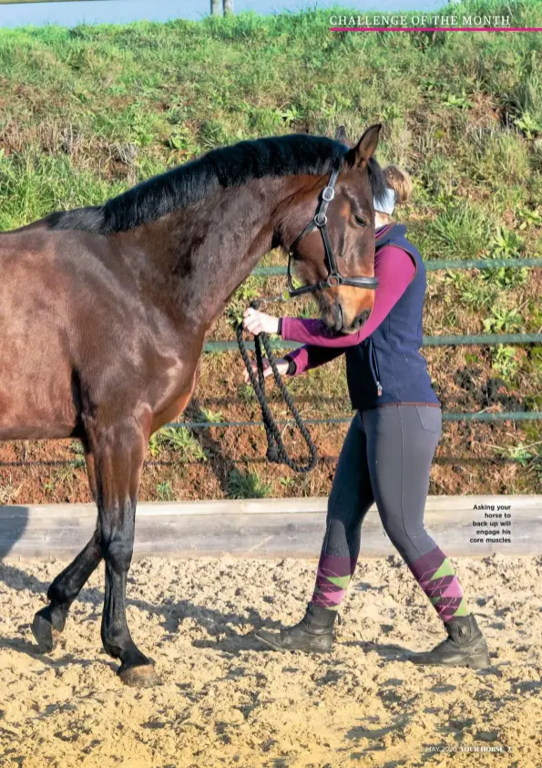  ??  ?? MAY 2020
Asking your horse to back up will engage his core muscles