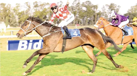  ??  ?? RIGHT DISTANCE. Piere Strydom makes Shortstop in Race 8 over 1200m his value bet for today’s meeting at Turffontei­n.