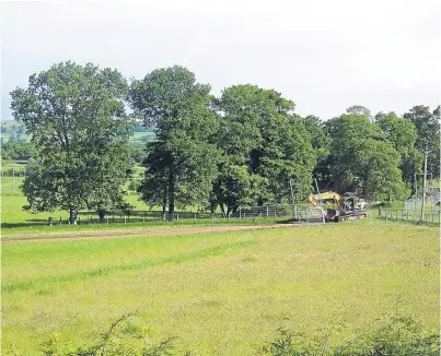  ?? Picture: Ken Whitcombe. ?? The trees that may make way for two 60-home housing developmen­ts.