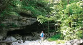  ?? NWA Media/File photo ?? A hiker travels along a spring-fed creek in the Devil’s Eyebrow Natural Area in northeast Benton County in this July 2017 photograph.