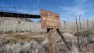  ?? ?? "Los éxitos iniciales dentro de las zonas valladas se ven atenuados por casi la mitad de Pando que sigue sin protección frente a la herbivoría crónica salvaje y doméstica".