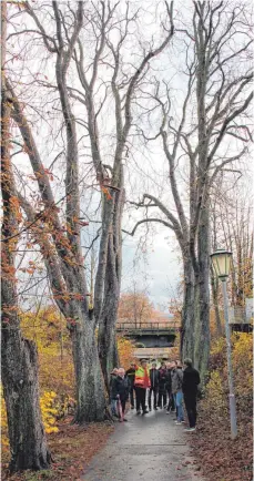  ?? SZ-FOTO: GÖTZ ?? Die Mitglieder des Grünen Tisches haben sich die Kastanien-Allee am Kastanienb­erg angeschaut.