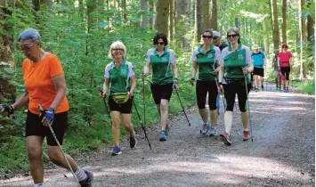  ?? Foto: Fritz Birkner ?? Die Teilnehmer bei der Nordic Walking Tour in Ebershause­n ließen sich trotz heißer Temperatur­en die Laune nicht verderben. Mehr als 300 machten mit.