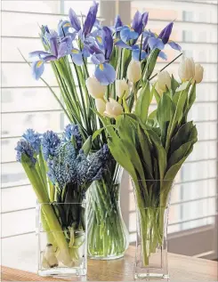  ??  ?? Condition cut flowers by letting them rest overnight in fresh, room temperatur­e water before arranging them. Left to right: Purple hyacinth, grape hyacinth, iris and white tulips.