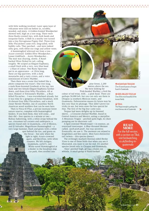  ??  ?? MOUNTAIN TROGON One of several species of trogon found in Guatemala KEEL-BILLED TOUCAN One of the most beautiful of the toucan family TIKAL This Mayan temple is perhaps the most famous site in Guatemala