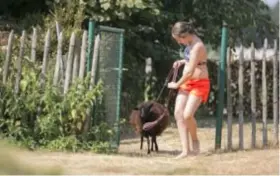  ??  ?? Dochter Kaat (10) op wandel met schaap Janneke. “Mensen vragen geregeld of ze met mij en de kudde mogen meewandele­n”, zegt haar vader.