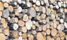  ?? FOTO: RAINER JENSEN/DPA ?? Holz ist derzeit teuer und nur schwer lieferbar.