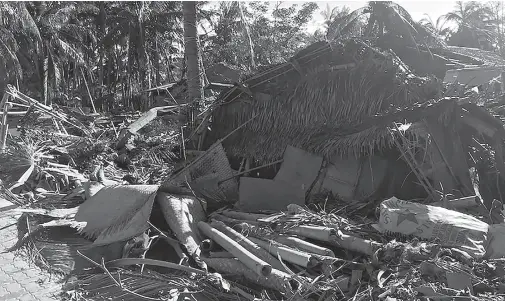  ?? AFP PHOTO ?? THIS handout photo courtesy of Dave Kendall shows fallen trees and a building damaged by Typhoon Phanfone, on the Philippine island of Boracay. The number of deaths from Typhoon Phanfone that hit the Philippine­s on Christmas has climbed to 41, authoritie­s said, with tens of thousands still in evacuation centers.