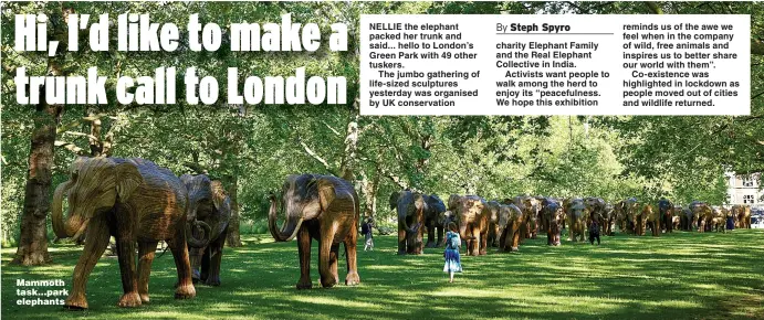  ?? Picture: REUTERS & NICK DIMBLEBY ?? Mammoth task...park elephants