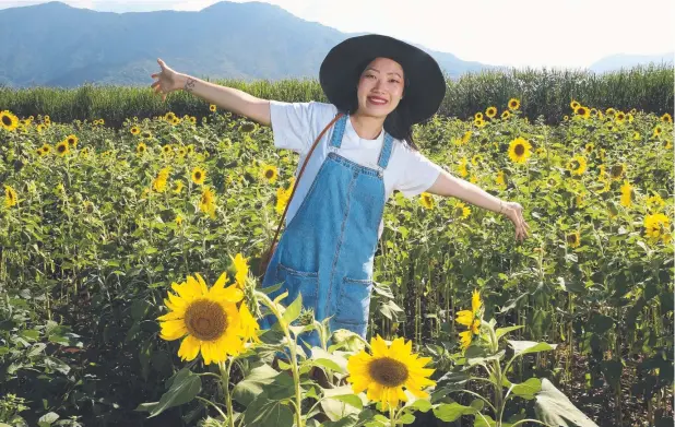  ?? Picture: ANNA ROGERS ?? BRIGHTENIN­G HER LIFE: Sharon Hsu has moved to Freshwater because of farmer Mark Savina’s spectacula­r sunflower field.